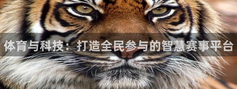 vsport体育：体育与科技：打造全民参与的智慧赛事平台