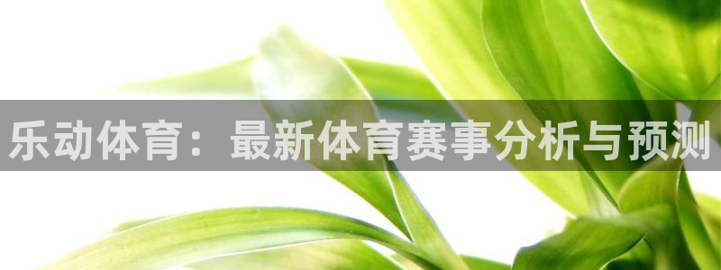 vsport体育：乐动体育：最新体育赛事分析与预测