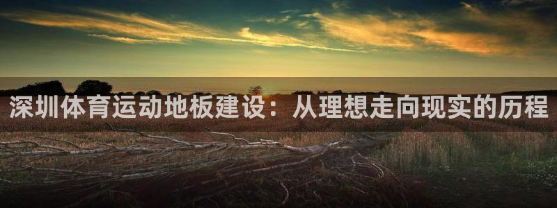 vsport体育：深圳体育运动地板建设：从理想走向现实的历程