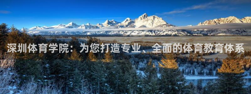 vsport体育在线官网：深圳体育学院：为您打造专业、全面的体育教育体系