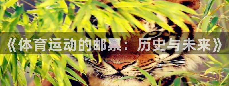 vsport体育在线官网：《体育运动的邮票：历史与未来》