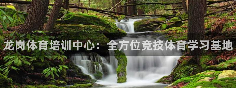vsport体育：龙岗体育培训中心：全方位竞技体育学习基地
