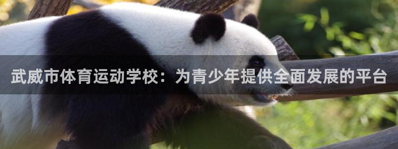 vsport体育在线官网：武威市体育运动学校：为青少年提供全面发展的平台
