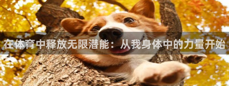 vsport体育：在体育中释放无限潜能：从我身体中的力量开始