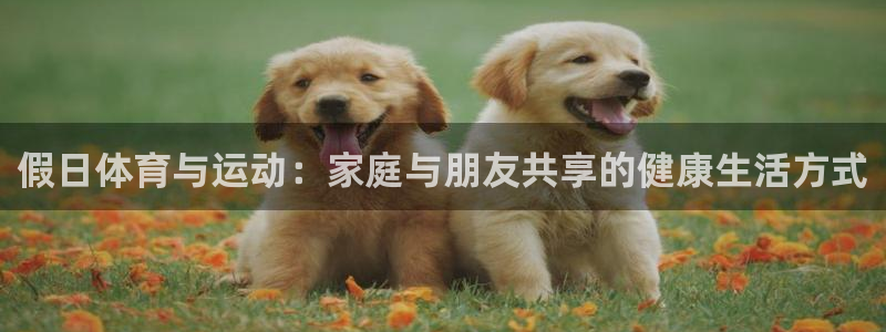 vsport体育在线官网：假日体育与运动：家庭与朋友共享的健康生活方式