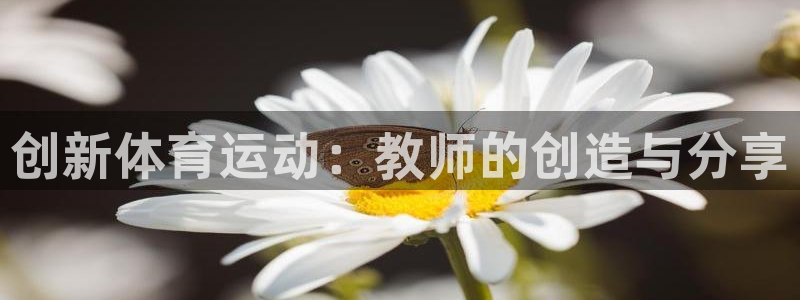 vsport体育在线官网：创新体育运动：教师的创造与分享
