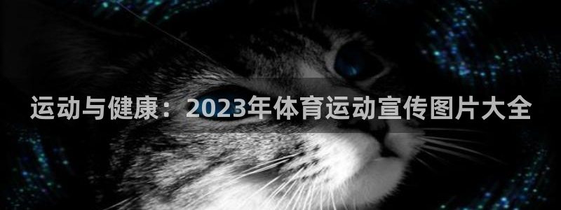 vsport体育在线官网：运动与健康：2023年体育运动宣传图片大全