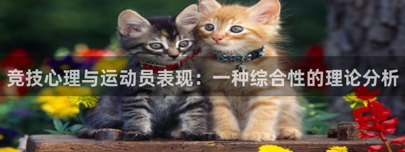 vsport体育：竞技心理与运动员表现：一种综合性的理论分析