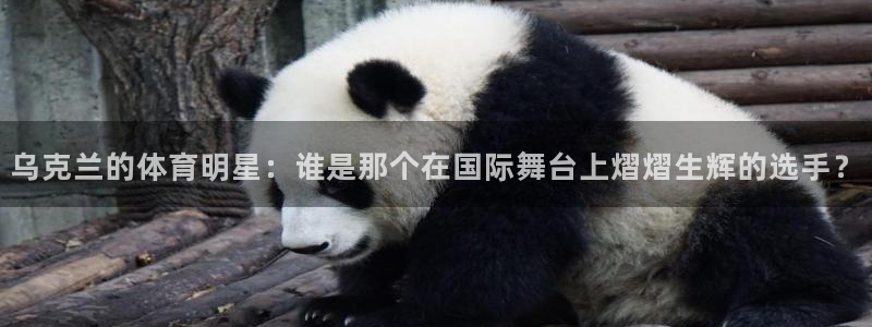 vsport体育：乌克兰的体育明星：谁是那个在国际舞台上熠熠生辉的选手？