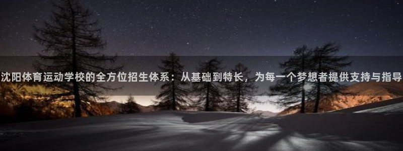 vsport体育在线官网：沈阳体育运动学校的全方位招生体系：从基础到特长，为每一个梦想者提供支持与指导