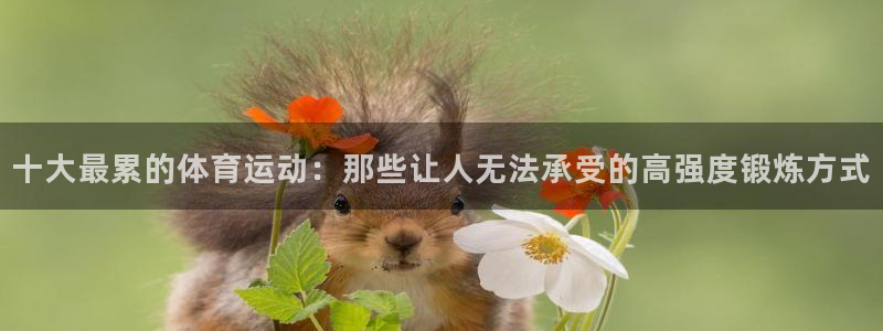 vsport体育在线官网：十大最累的体育运动：那些让人无法承受的高强度锻炼方式
