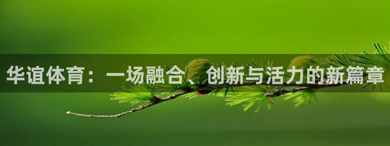 vsport体育在线官网：华谊体育：一场融合、创新与活力的新篇章