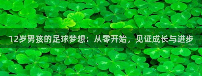 vsport体育在线官网：12岁男孩的足球梦想：从零开始，见证成长与进步