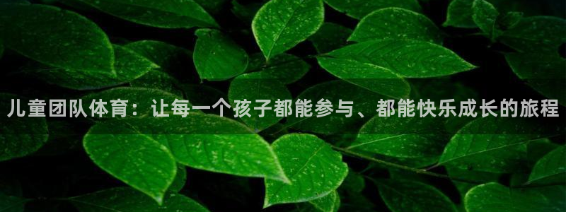 vsport体育在线官网：儿童团队体育：让每一个孩子都能参与、都能快乐成长的旅程