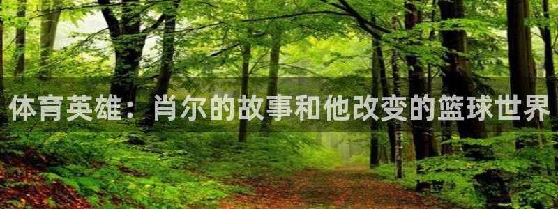 vsport体育在线官网：体育英雄：肖尔的故事和他改变的篮球世界
