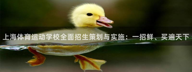 vsport体育在线官网：上海体育运动学校全面招生策划与实施：一招鲜、买遍天下