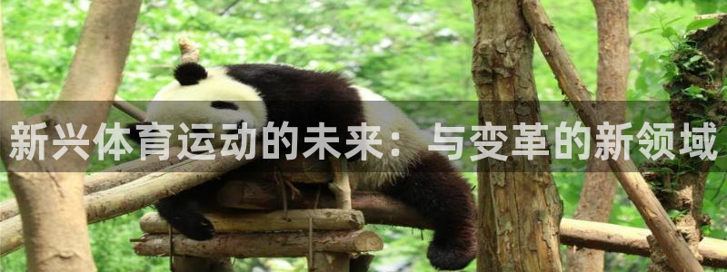 vsport体育：新兴体育运动的未来：与变革的新领域